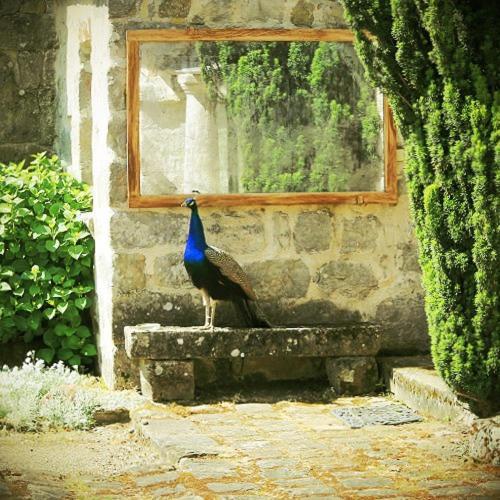 Domaine De Frevent Bed & Breakfast Echouboulains Exterior photo